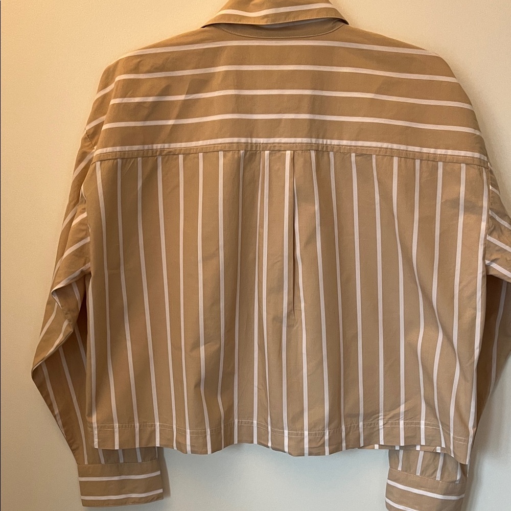 LOFT Women's Tan and White Striped Blouse - Picture 6 of 6
